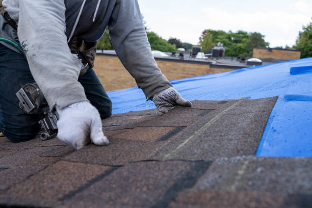 Best Roof Leak Repair  in Glenns Ferry, ID